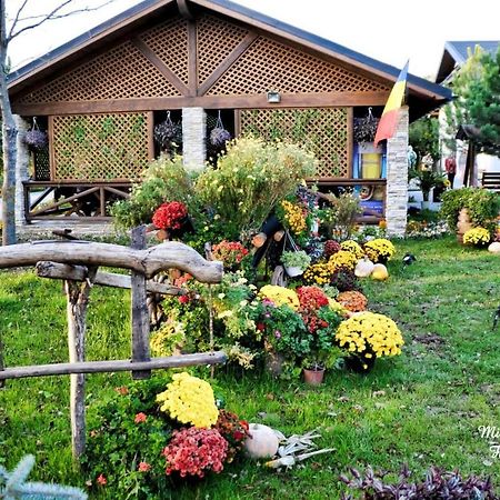 Hanul Marioarei Roman Ngoại thất bức ảnh